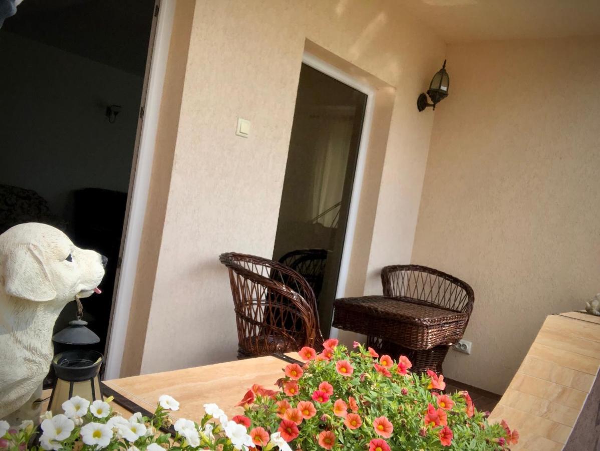 Casa Paunescu Milostea Zewnętrze zdjęcie